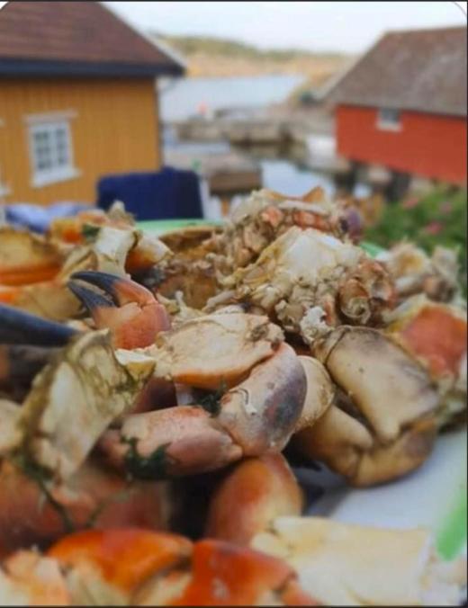 Lunvig - A Cosy Cottage In Idyllic Small Island Near Kristiansand, Sogne Luaran gambar